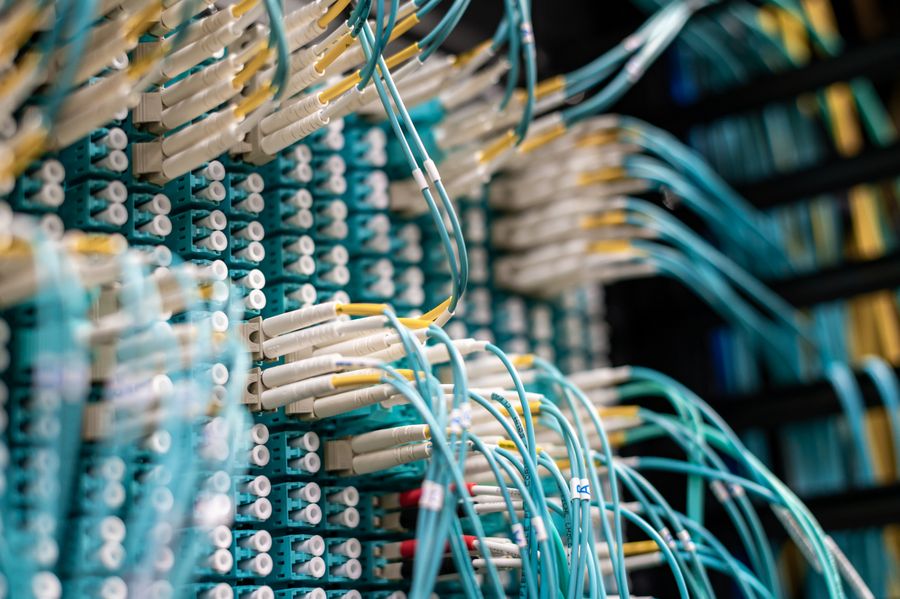 Blue network cables plugged into a patch panel