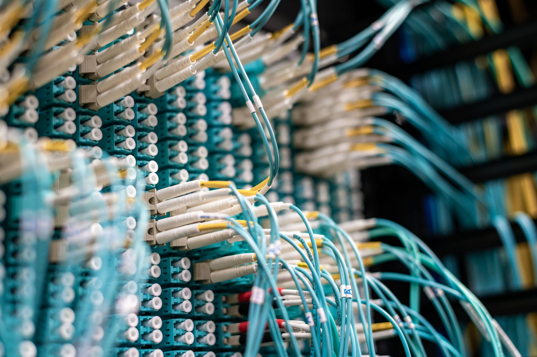Blue network cables in a patch panel